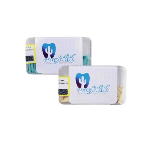 وج چوبی کاکتوس 200 عددی Kaktoos